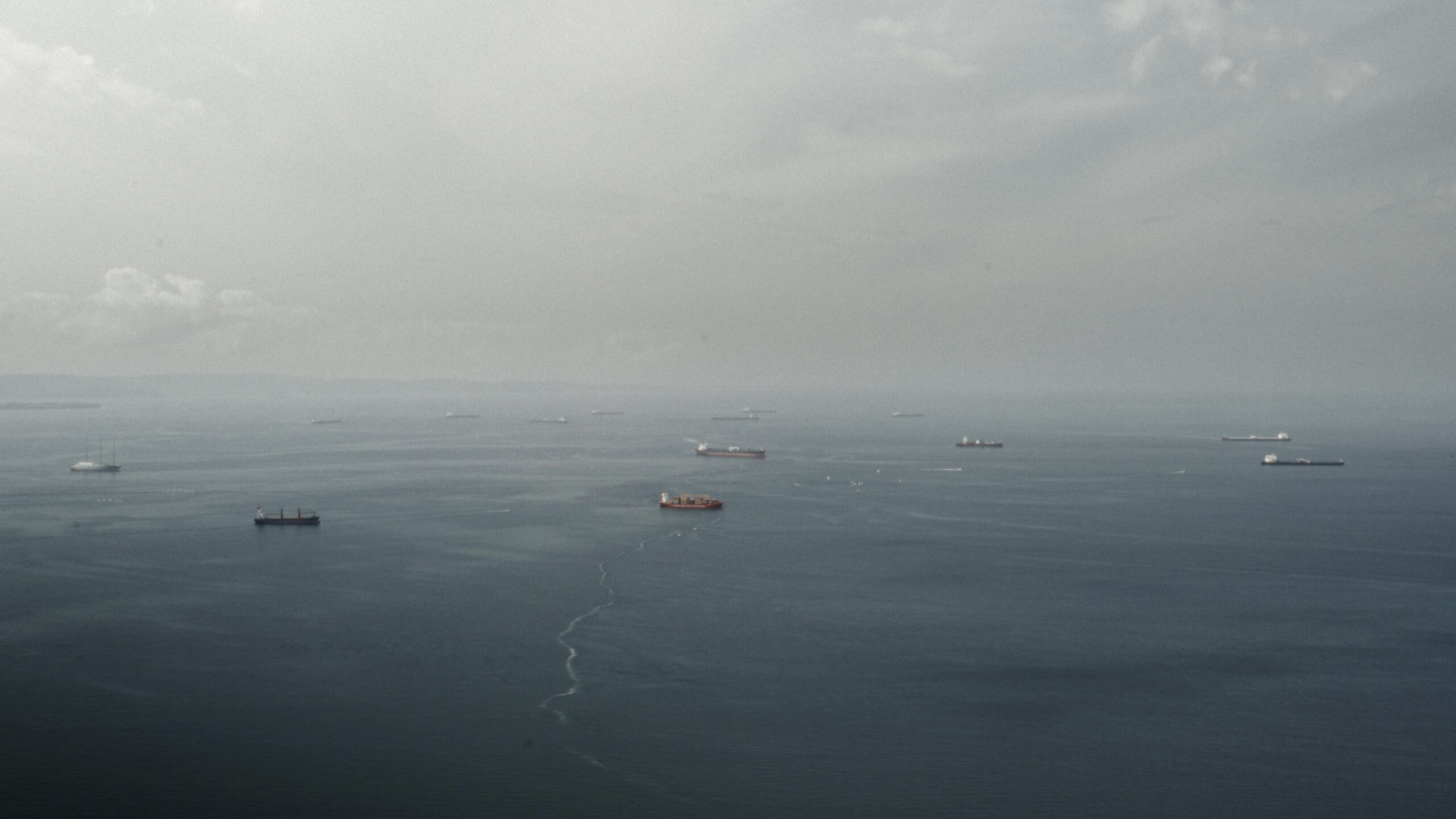 seablindness_still4